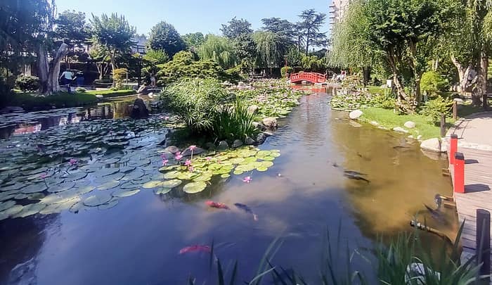 Detalhe do Jardim Japonês de Belén de Escobar