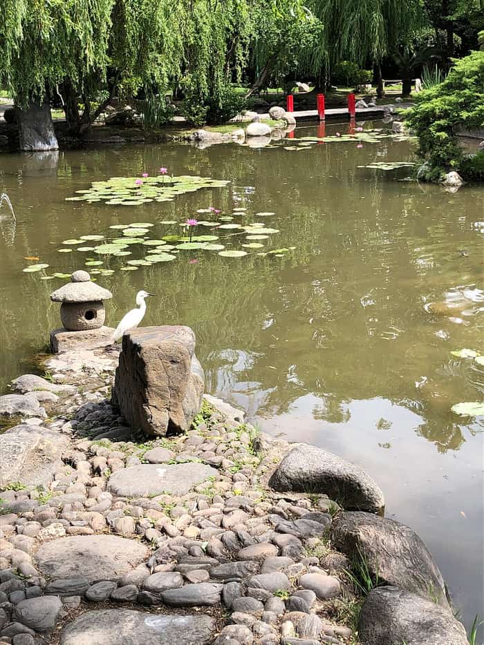 Outra vista do Jardim Japonês de Belén de Escobar